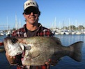 Moreton Island Fishing Charters Pearl Perch